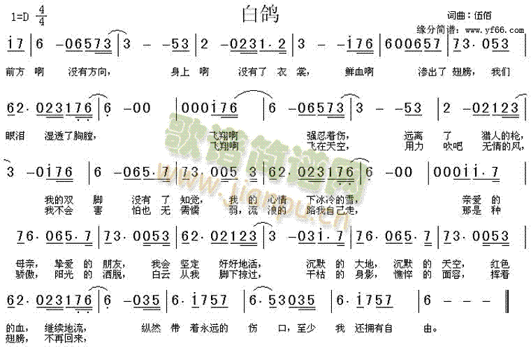 白鸽简谱